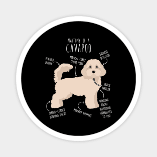 Cavapoo Dog Anatomy Magnet